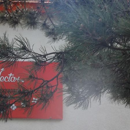 Nectar Hotel Dilidschan Exterior foto